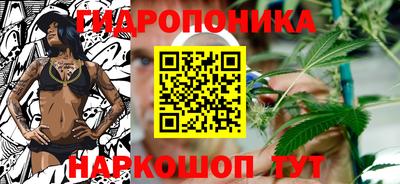 гидропоника Лесосибирск