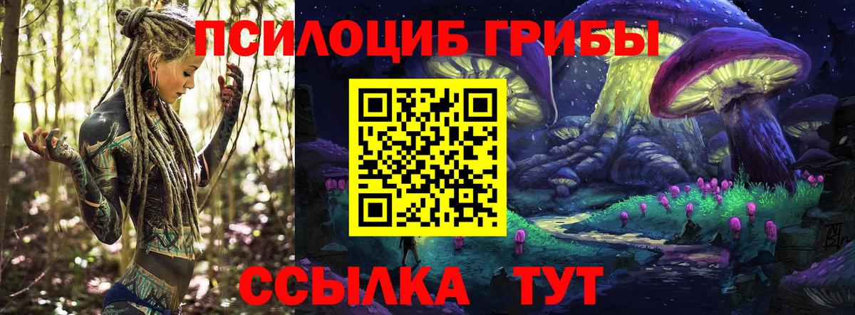 Зеленокумск  Псилоцибиновые грибы Magic Shrooms  Вход с VPN 